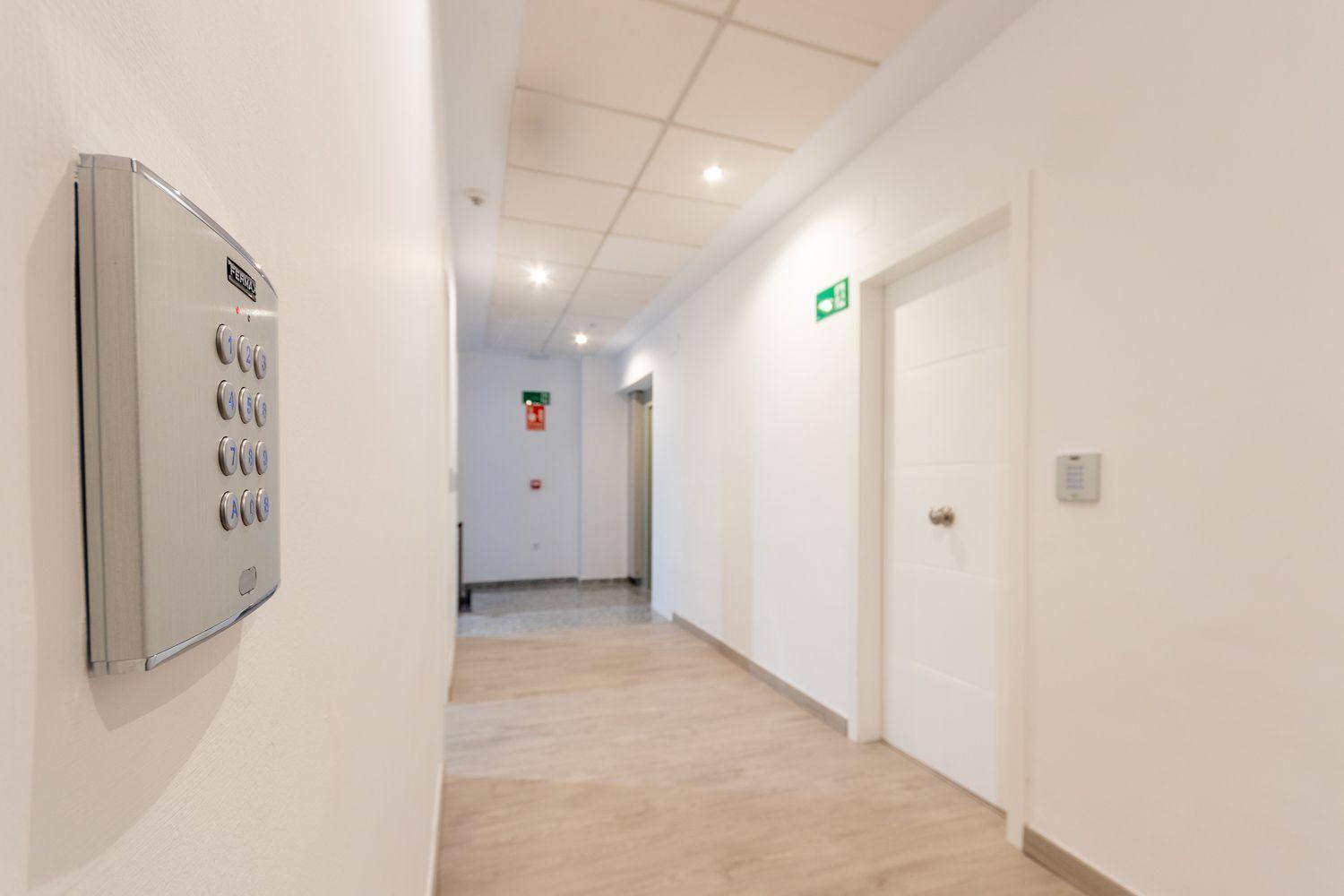 Apartamentos Basilica Santa Eulalia Parking Gratis Mérida Esterno foto